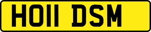 HO11DSM