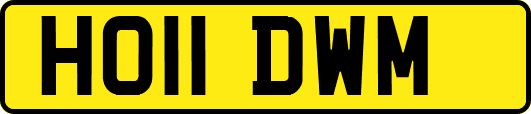 HO11DWM