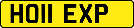 HO11EXP
