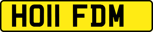 HO11FDM