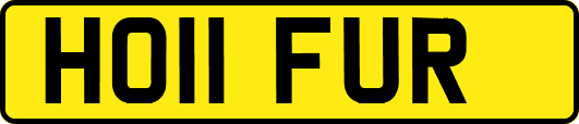 HO11FUR