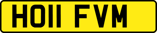 HO11FVM