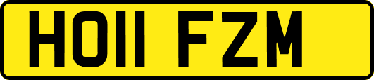 HO11FZM