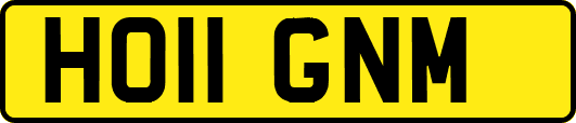 HO11GNM