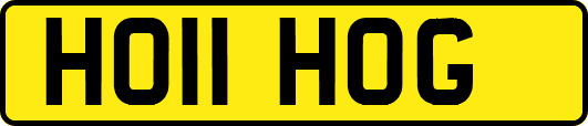 HO11HOG