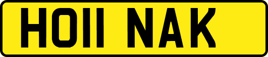 HO11NAK