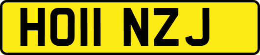 HO11NZJ