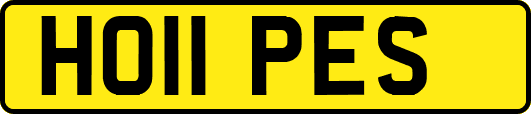HO11PES