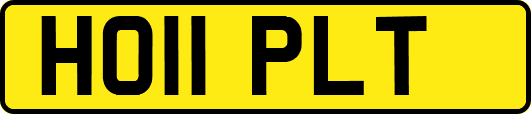 HO11PLT