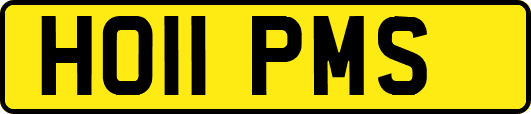 HO11PMS