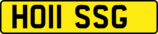 HO11SSG