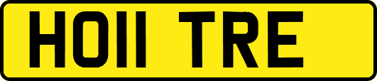 HO11TRE