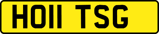 HO11TSG