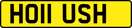 HO11USH