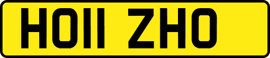 HO11ZHO