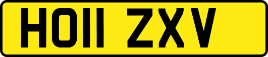 HO11ZXV