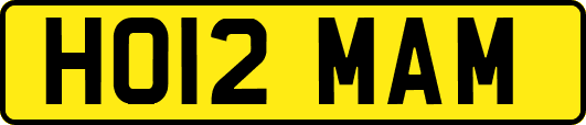 HO12MAM