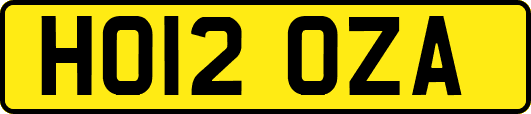 HO12OZA
