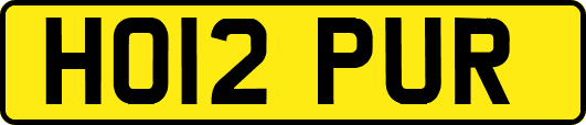 HO12PUR
