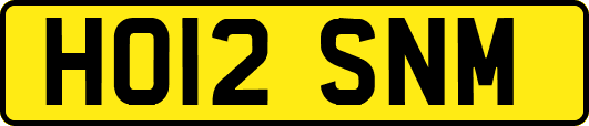 HO12SNM