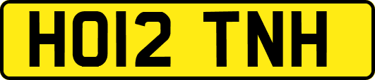 HO12TNH