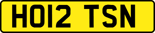 HO12TSN