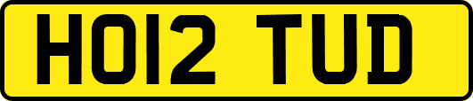 HO12TUD