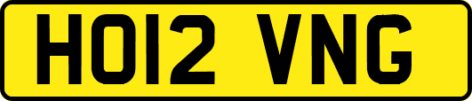 HO12VNG