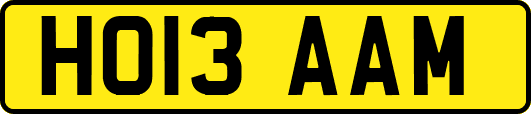 HO13AAM