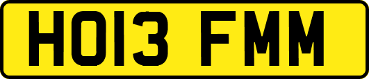 HO13FMM