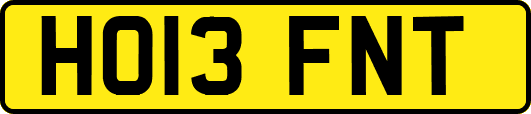 HO13FNT