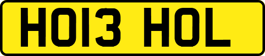HO13HOL