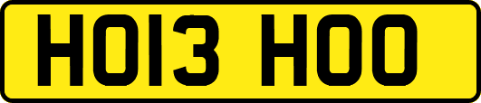 HO13HOO