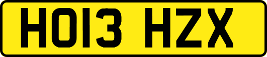 HO13HZX