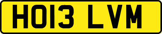 HO13LVM