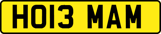 HO13MAM