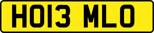 HO13MLO