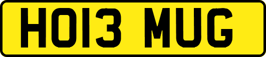 HO13MUG