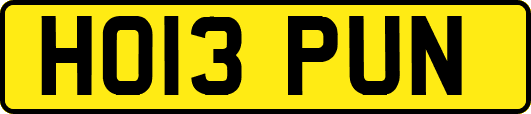 HO13PUN