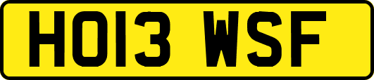 HO13WSF