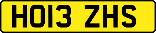 HO13ZHS