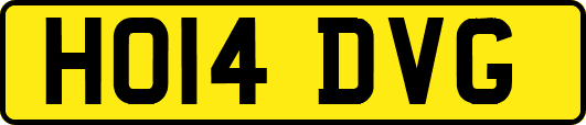HO14DVG
