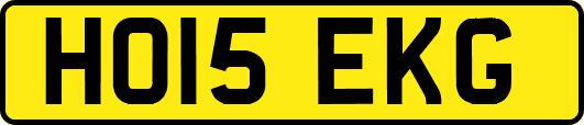 HO15EKG