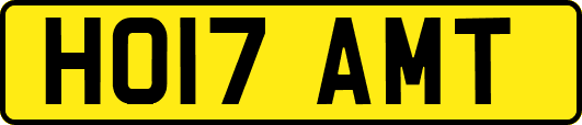 HO17AMT