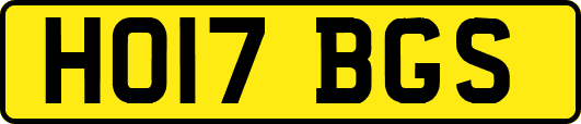 HO17BGS