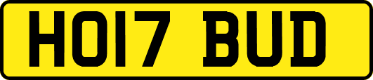HO17BUD