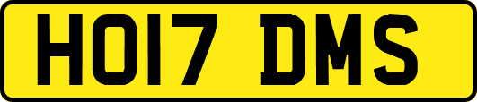 HO17DMS