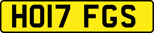 HO17FGS