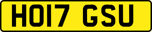 HO17GSU
