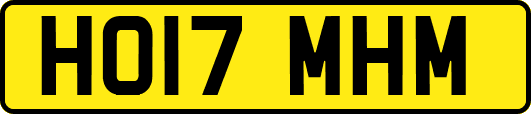 HO17MHM